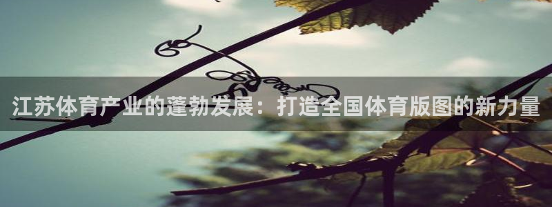 江苏体育产业的蓬勃发展：打造全国体育版图的新力量