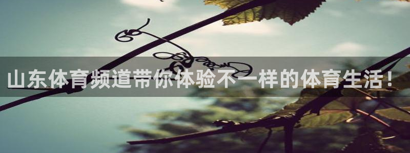 山东体育频道带你体验不一样的体育生活！