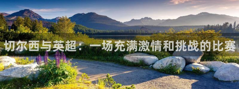 切尔西与英超：一场充满激情和挑战的比赛