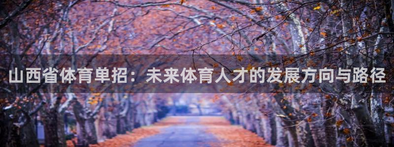 山西省体育单招：未来体育人才的发展方向与路径