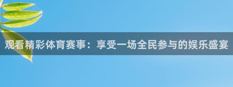 观看精彩体育赛事：享受一场全民参与的娱乐盛宴