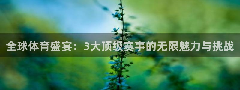 全球体育盛宴：3大顶级赛事的无限魅力与挑战