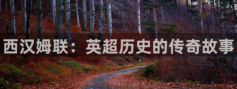 西汉姆联：英超历史的传奇故事