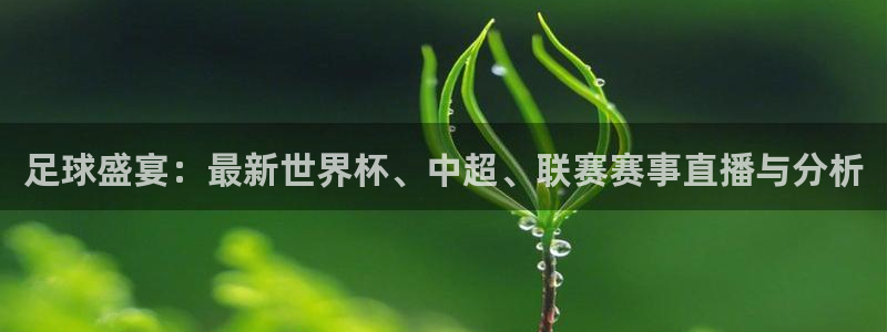 足球盛宴：最新世界杯、中超、联赛赛事直播与分析