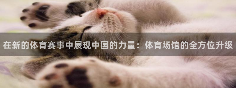 在新的体育赛事中展现中国的力量：体育场馆的全方位升级