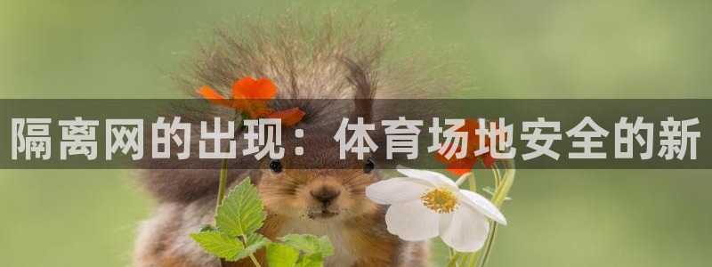 隔离网的出现：体育场地安全的新