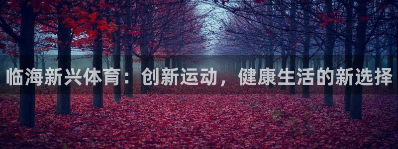 临海新兴体育：创新运动，健康生活的新选择