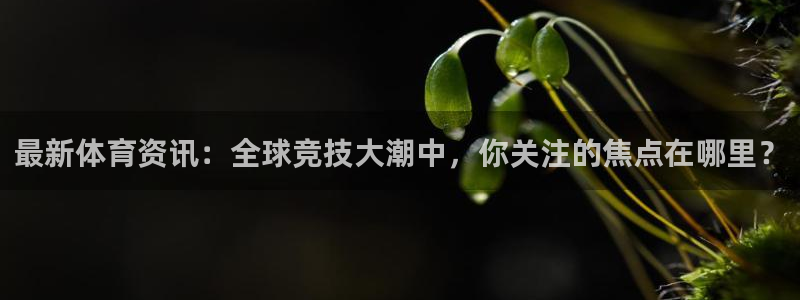 最新体育资讯：全球竞技大潮中，你关注的焦点在哪里？