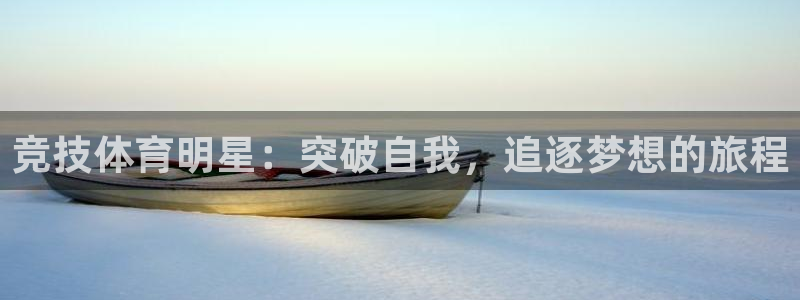 竞技体育明星：突破自我，追逐梦想的旅程