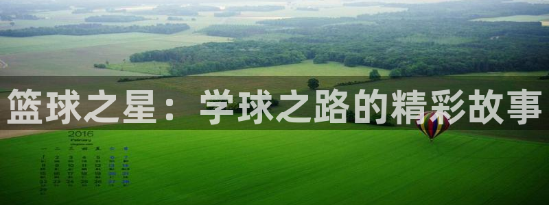 篮球之星：学球之路的精彩故事